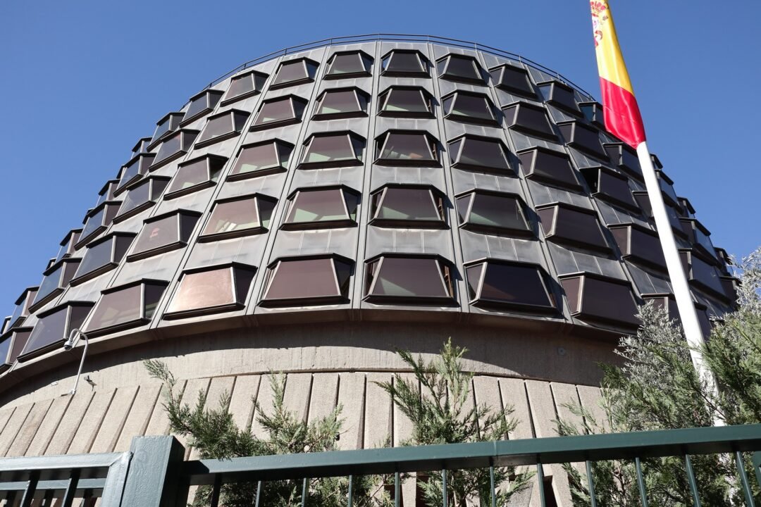 EL CONSTITUCIONAL RECHAZA EL RECURSO DEL DEFENSOR DEL PUEBLO Y SIGUE SUSPENDIDO EL VOTO DE 163.000 NACIONALIZADOS POR LA LEY DE NIETOS